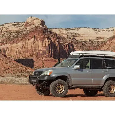 315 | Gold - Black Lip