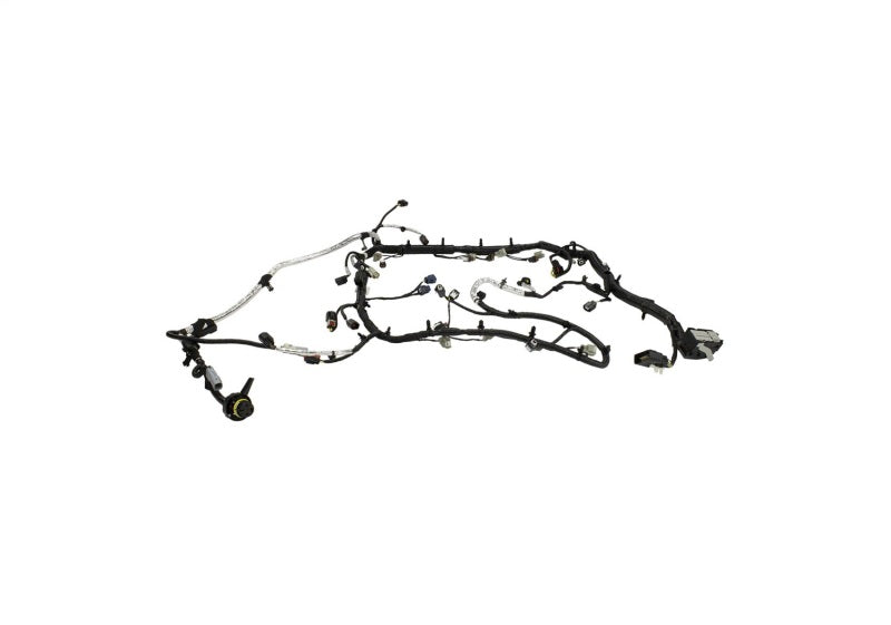 Ford Performance Parts Ford Racing 5.0L Coyote Engine Harness for Automatic Transmission