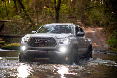 Morimoto H3 2Stroke 4.0 LED Bulbs