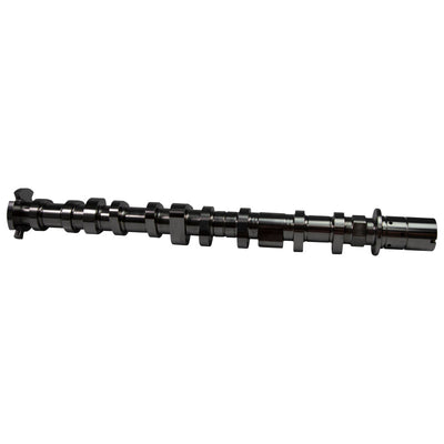 COMP Cams Camshaft Set 2018+ Ford Coyote 5.0L STG1 NST 433420