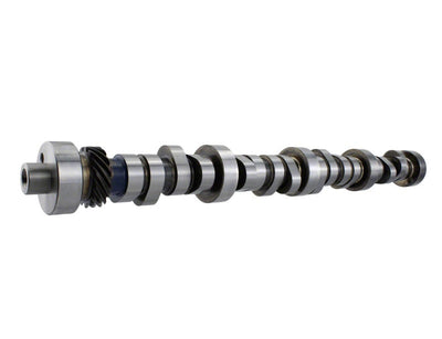 Ford Performance Parts Ford Racing Small Block V-8 Hydraulic Roller Tappet Camshafts