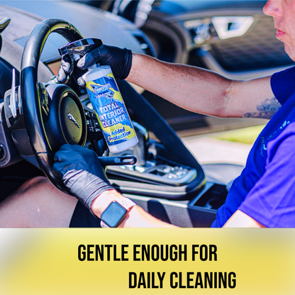 Total Interior Cleaner With Added Protection (16 Fl oz)