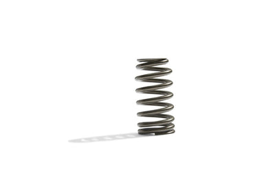 Ford Boss 302R Valve Spring Kit 2011-up 5.0L Engine FRDM6513-M50BR