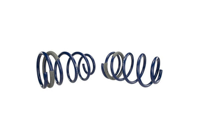 Ford Performance Parts Ford Racing 2005-2014 Mustang GT 1.0in. Track Lowering Springs