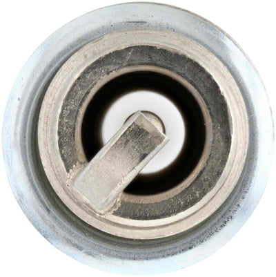 Bosch Spark Plug 9687