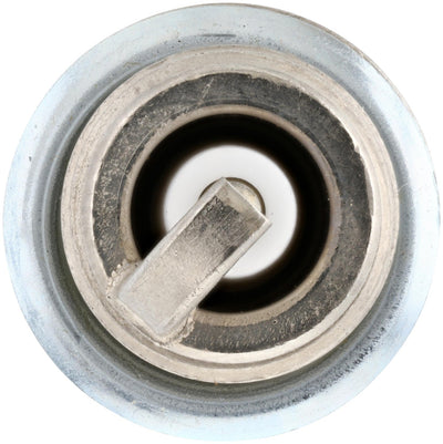 Bosch Spark Plug 9687