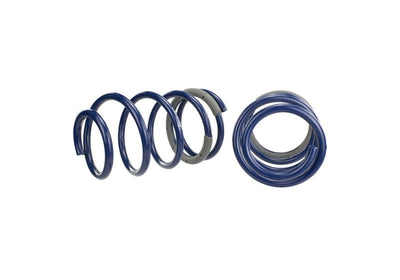 Ford Performance Parts Ford Racing 2005-2014 Mustang GT 1.0in. Track Lowering Springs
