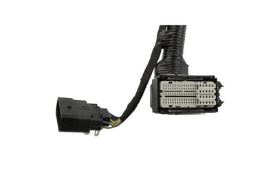 Ford Performance Parts Ford Racing 5.0L Coyote Engine Harness for Automatic Transmission