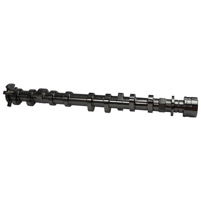 COMP Cams Camshaft Set 2018+ Ford Coyote 5.0L STG1 NST 433420