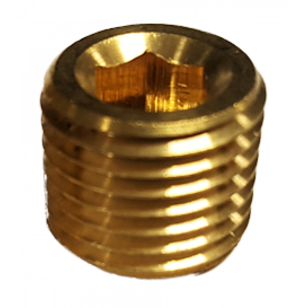 Recessed Plug - 1/4" NPT
